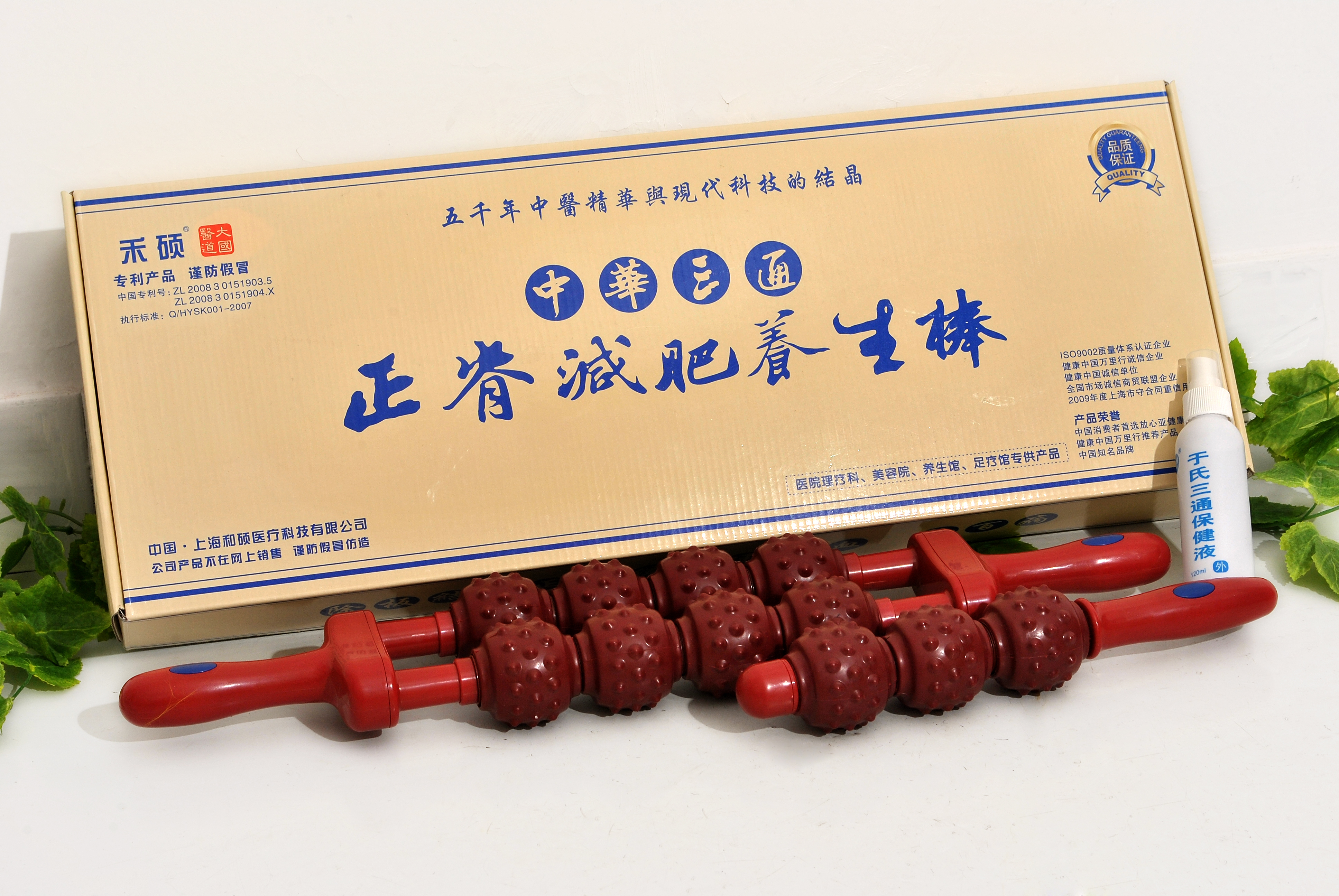 整体循环疗法中医研究院